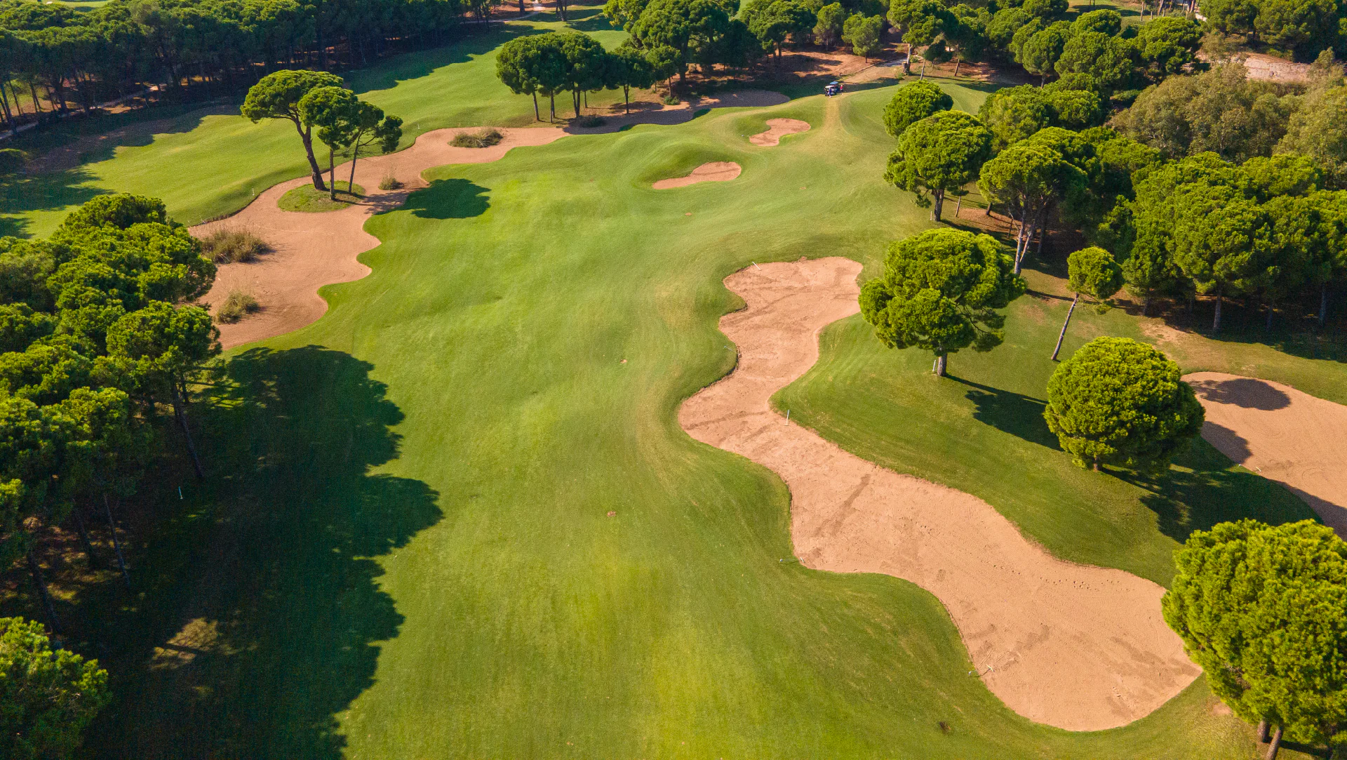 Aerial view of the Sueno Pines Course with fairways, bunkers and pine corridors