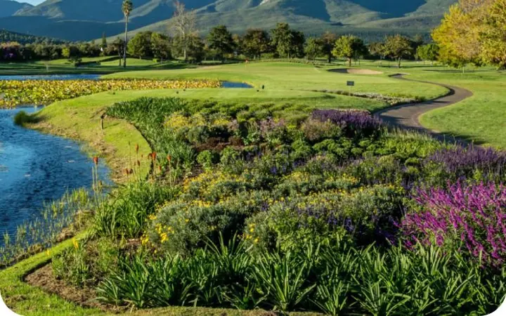 Fancourt Golf — golf course view