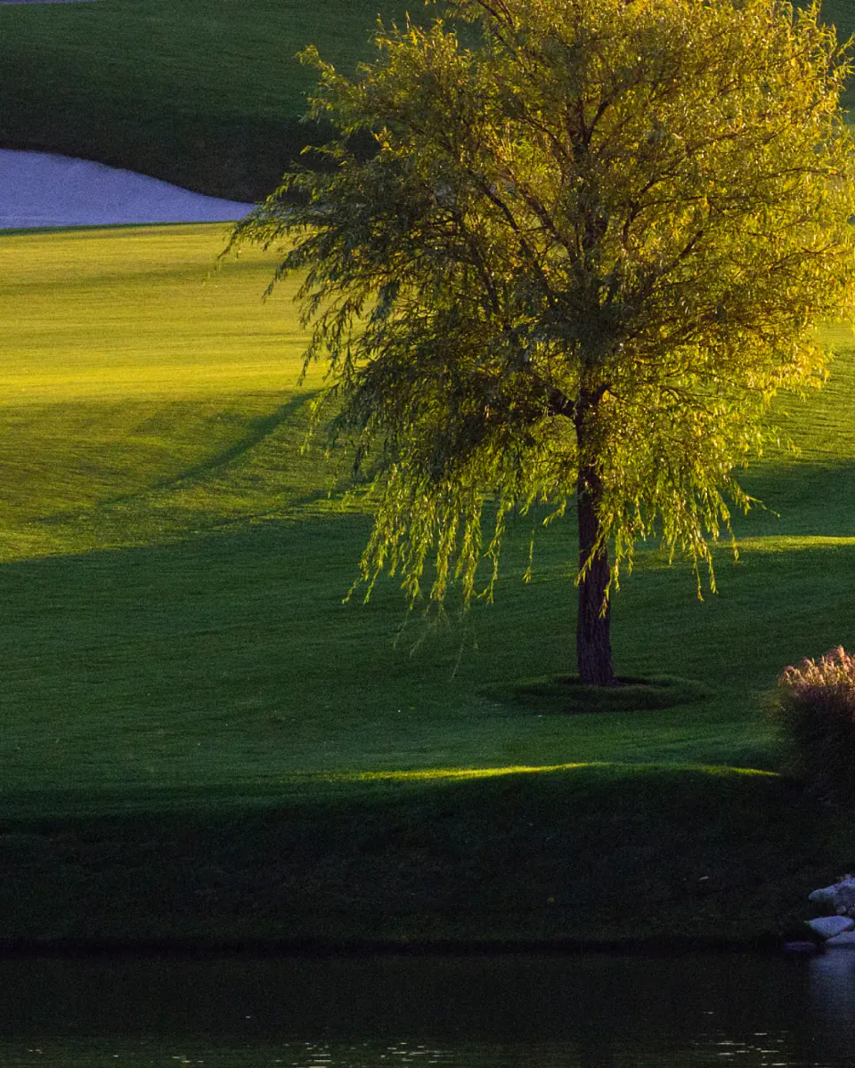 Skolkovo Golf Club — golf course view
