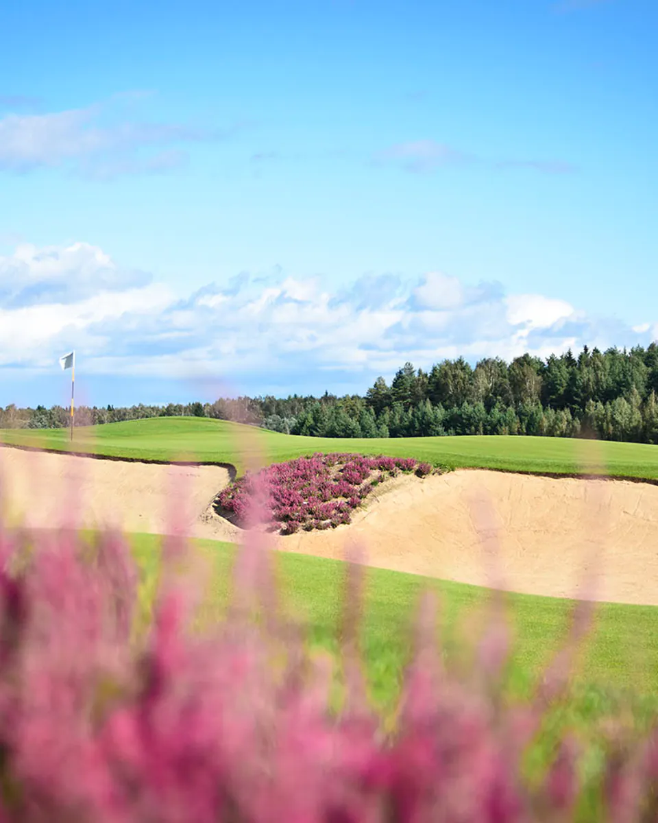 Zavidovo Golf Club — golf course view