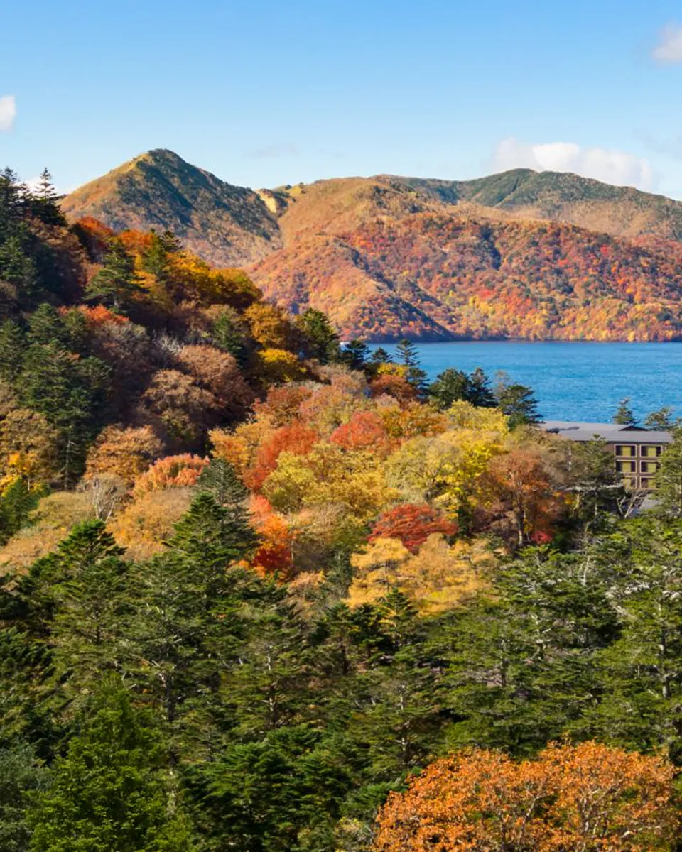 Ritz Carlton Nikko hotel view